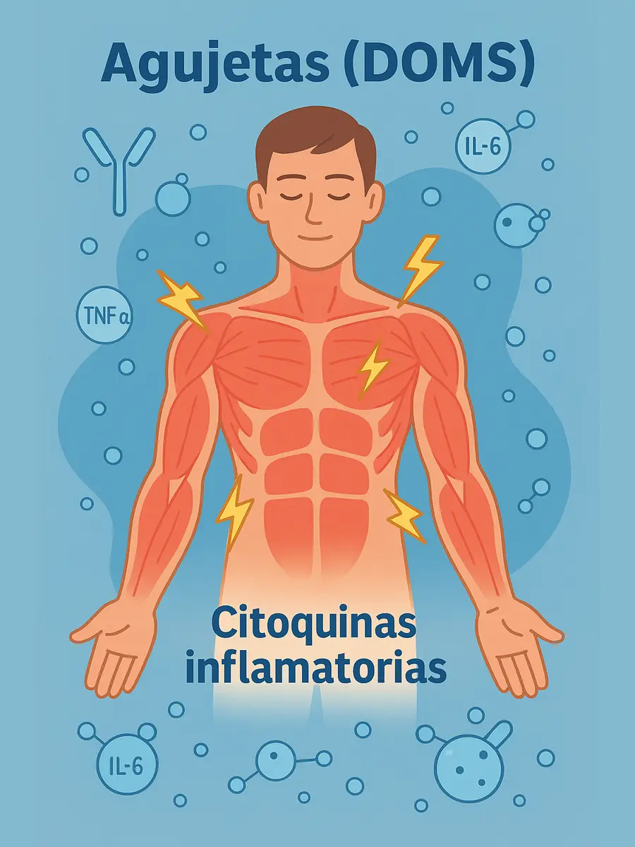 Dolor que no se pasa solo